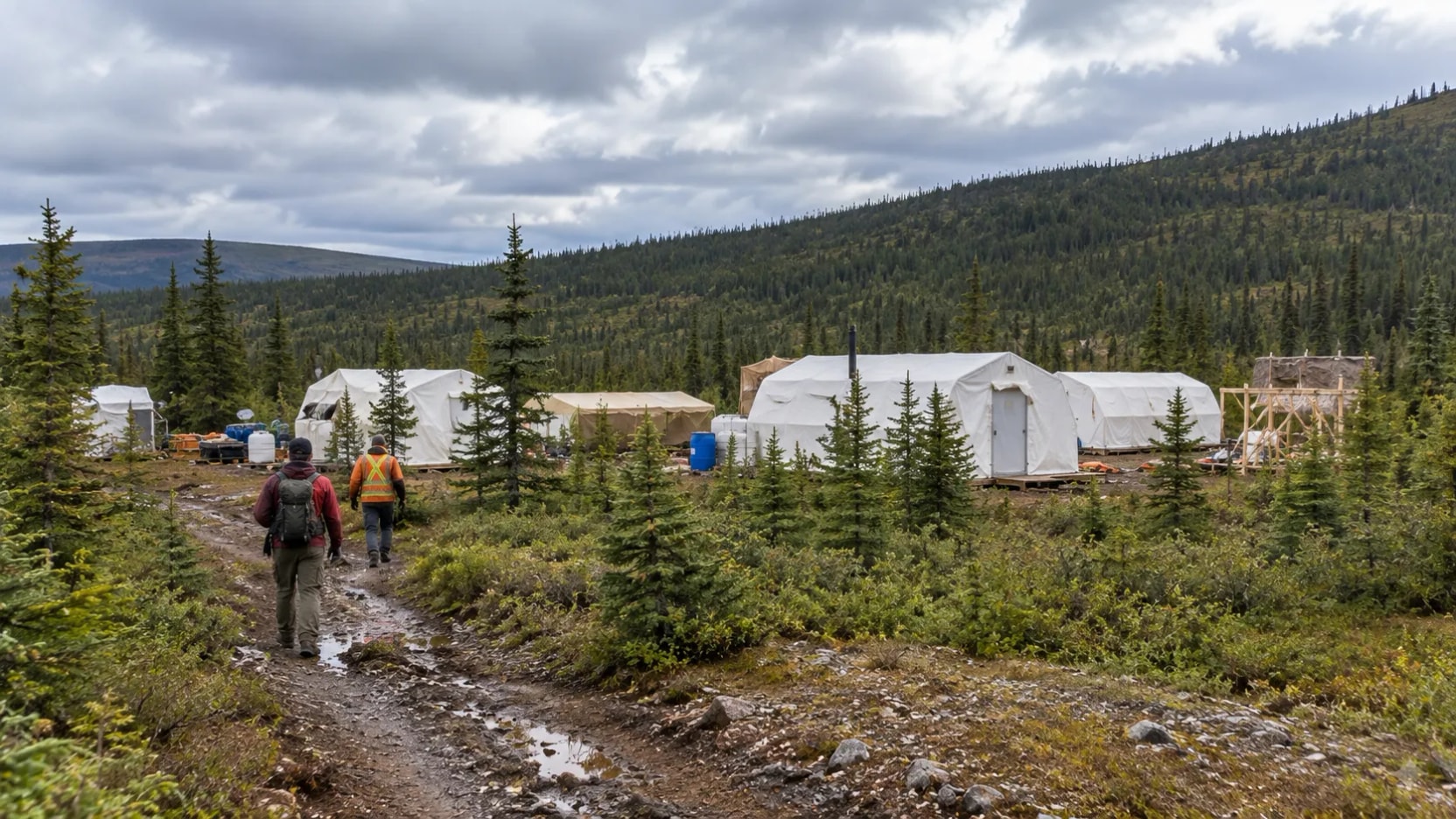 Canadá: Hi-View identifica anomalia de 1.000 metros com potencial para cobre, ouro e prata no projeto Black Pearl