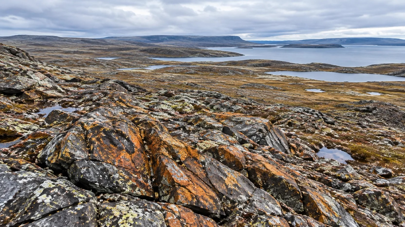 Canadá: SPC Nickel identifica grandes anomalias de cobre e níquel a 2.000 metros de profundidade no projeto Muskox