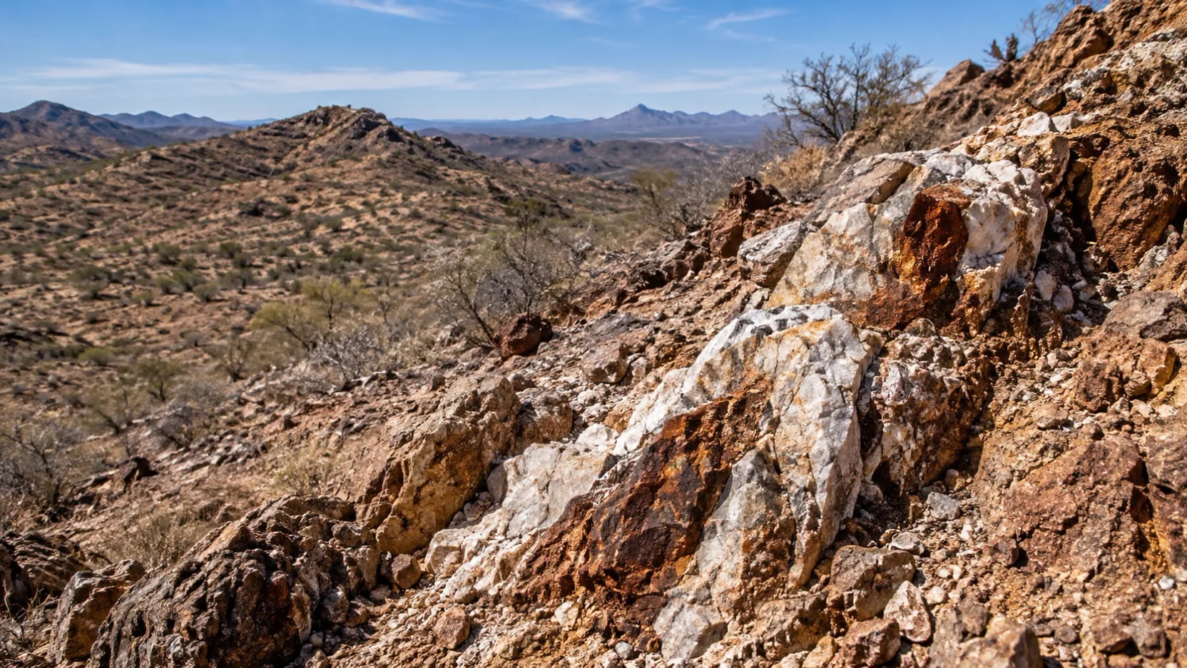 México: Zacatecas Silver encontra ouro de até 40,6 g/t e prata de 253 g/t no projeto Cumaro